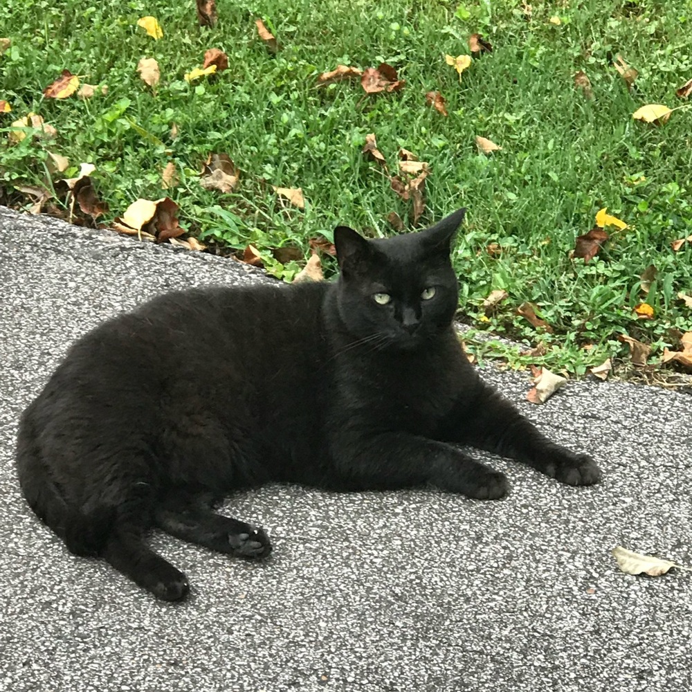 Meet your Posher, Keith